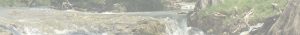 Guadalupe River