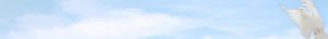 W New York header